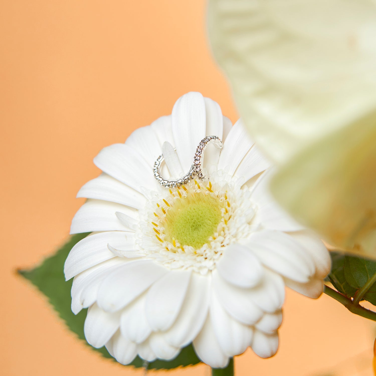 Oorringen met glansafwerking